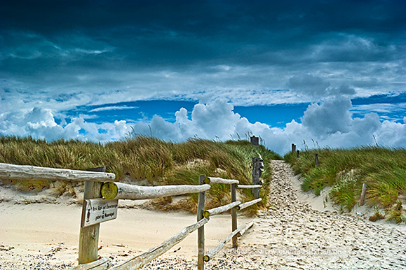 Foto von Peter Hennig PIXELWERKSTATT Dünenlandschaft auf dem Darß