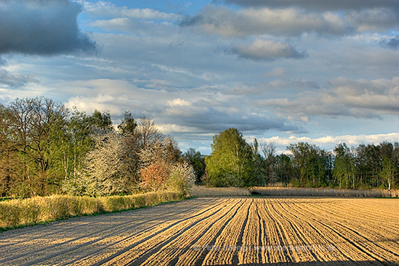 Foto von Peter Hennig PIXELWERKSTATT Feld bei Eichgraben