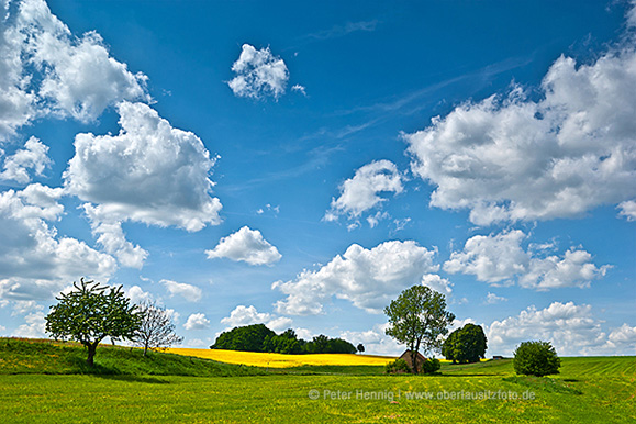 Foto von Peter Hennig PIXELWERKSTATT Frühlingslandschaft bei Dittelsdorf in der Oberlausitz
