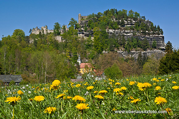 Foto von Peter Hennig PIXELWERKSTATT Maiblumenwiese vor dem Berg Oybin im Naturpark Zittauer Gebirge