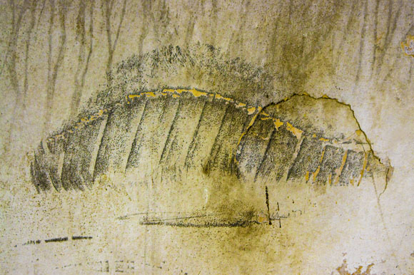 Fotomotiv welches an abstrakte Fotografie erinnert, Bildtitel: Insekt