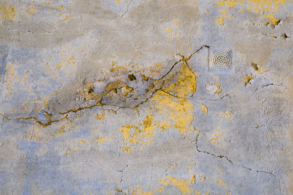 Fotomotiv welches an abstrakte Fotografie erinnert, Bildtitel: Der Parasit