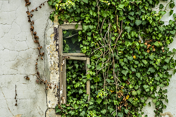 Fenster sind ein oft anzutreffendes Motiv und sehr unterschiedlich in ihrem Aussehen